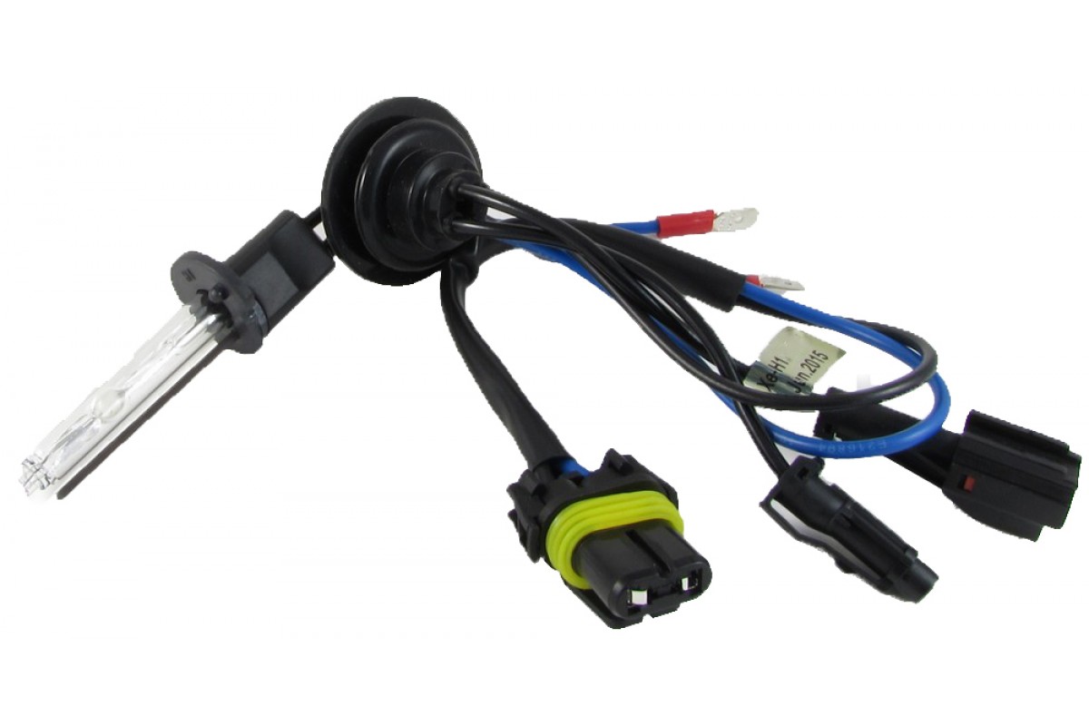 9b9f30b0-c1d4-11ea-a25e-04d9f508137a 1